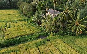 Viveka Inn Guest&Yala Safari